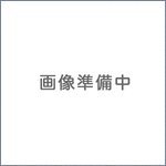 三洋純正パーツ エアコン用リモコン RCS-ZU2 6233072432 SANYO(中古品)