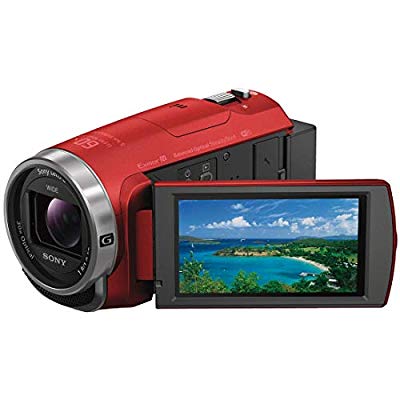ソニー SONY ビデオカメラ Handycam HDR-CX680 光学30倍 内蔵メモリー64GB (中古品)
