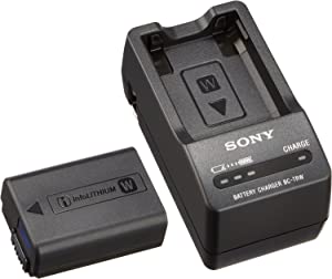 ソニー カメラ用バッテリー+チャージャーセット ACC-TRW(Wバッテリー用)(未使用の新古品)